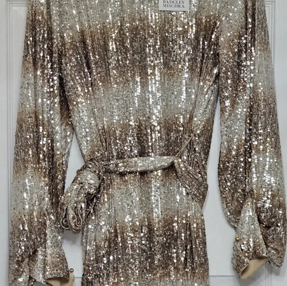 Badgley Mischka JennaNWTSequinOmbre Crew Neck LongSleeve TieSash Sheath  Dress